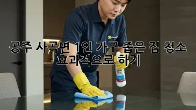 공주 사곡면 1인 가구, 좁은 집 청소 효과적으로 하기!