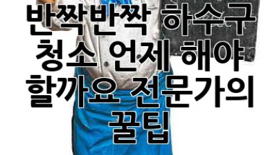 🚰반짝반짝✨ 하수구 청소, 언제 해야 할까요? 전문가의 꿀팁🍯