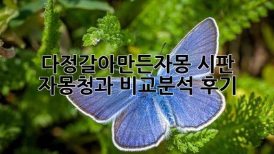다정갈아만든자몽: 시판 자몽청과 비교분석 후기